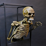 Animations_Skeleton