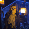 Pathfinder (Animated) - Image 2